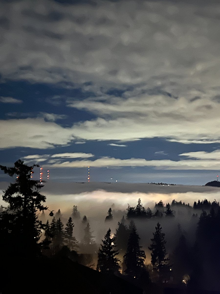Such a beautiful variety of views to calm the soul