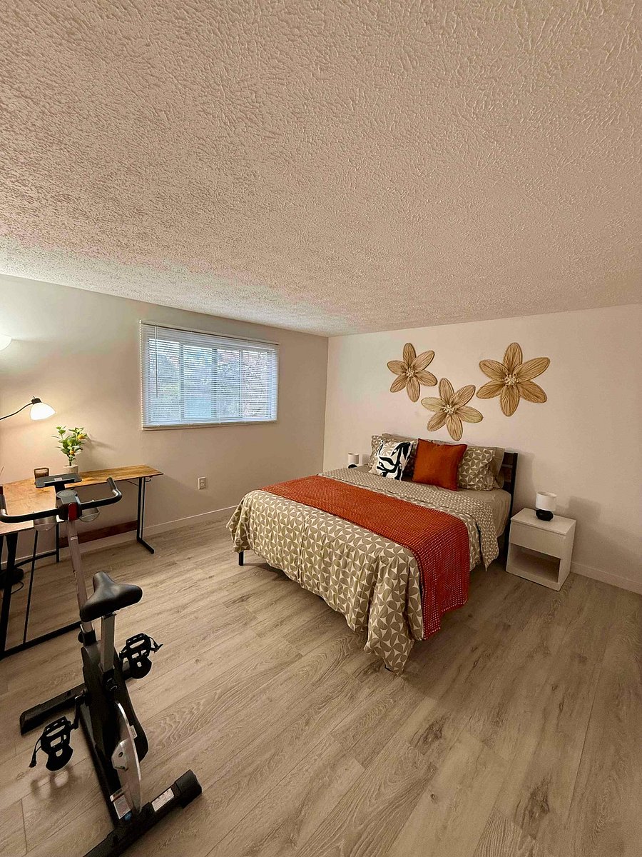 Furnished Finder property 986773_1 photo 27