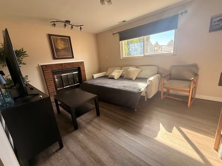 Lower level living room with sofa bed