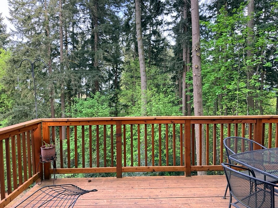 Kitchen/Backyard Property Views.