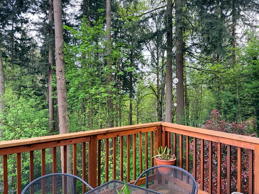 Kitchen/Backyard Property Views.