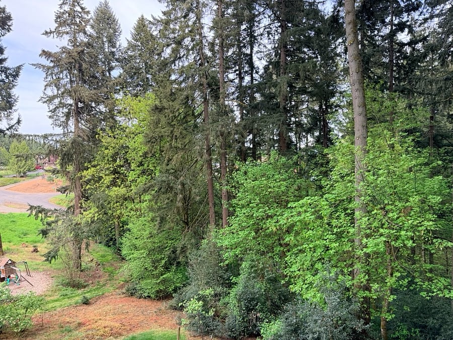Kitchen/Backyard Property Views.