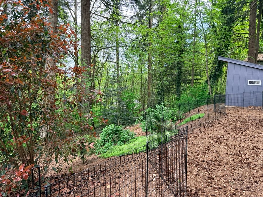 Private Entry/Backyard Property Views. with Shared Fenced Area for Dogs.