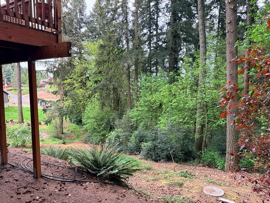 Private Entry/Backyard Property Views.