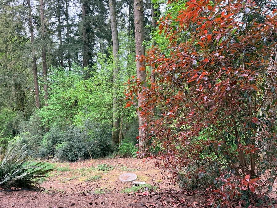 Private Entry/Backyard Property Views.