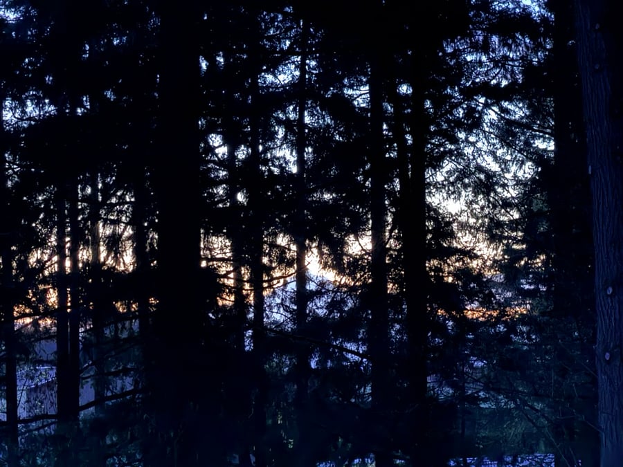 All back-facing windows of the house and the upper backyard offer peek-a-boo views of Mt. Hood through the trees at dawn and dusk on clear days! 