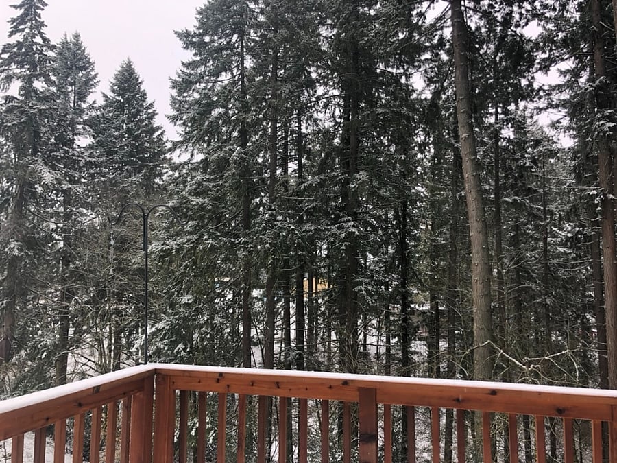 Winter Backyard Property Views.