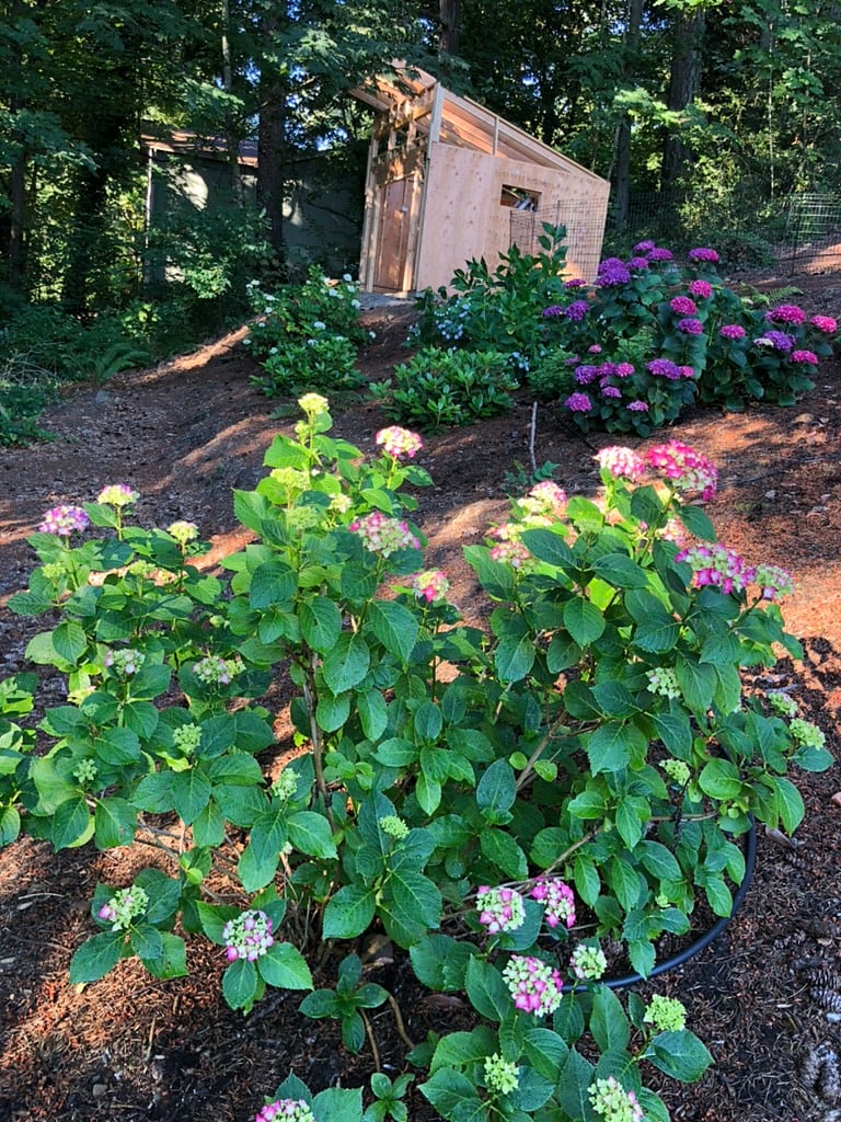 Spring/Summer Back/side Yard Property Views.