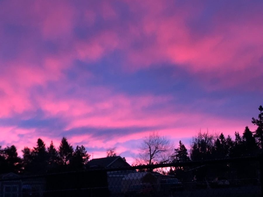 Sunrise sky views from neighborhood walk.