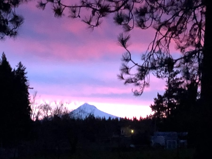 Sunrise Mt. Hood view from neighborhood walk.