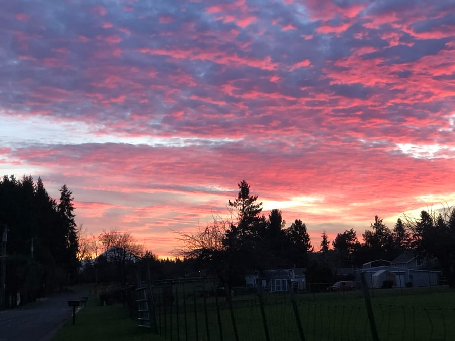 Sunrise sky views from neighborhood walk.