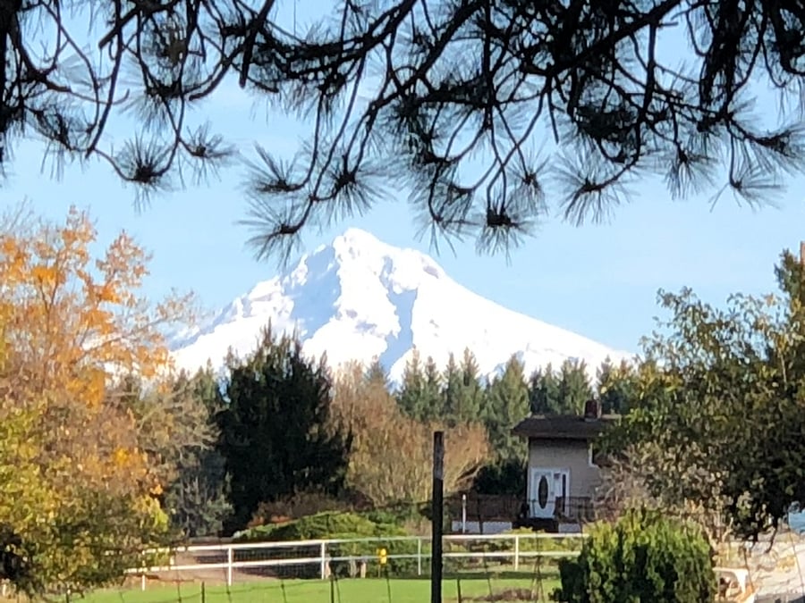 Mt. Hood view from neighborhood walk.