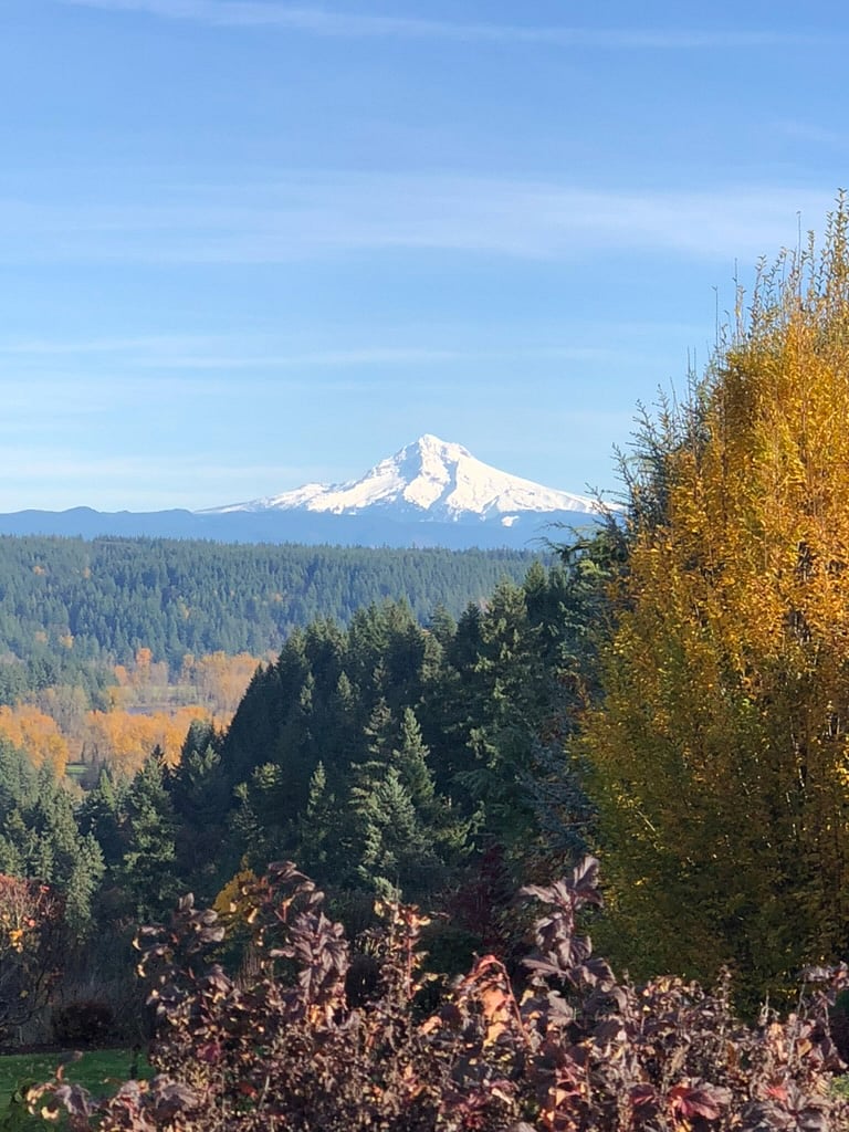 Mt. Hood view from neighborhood walk.