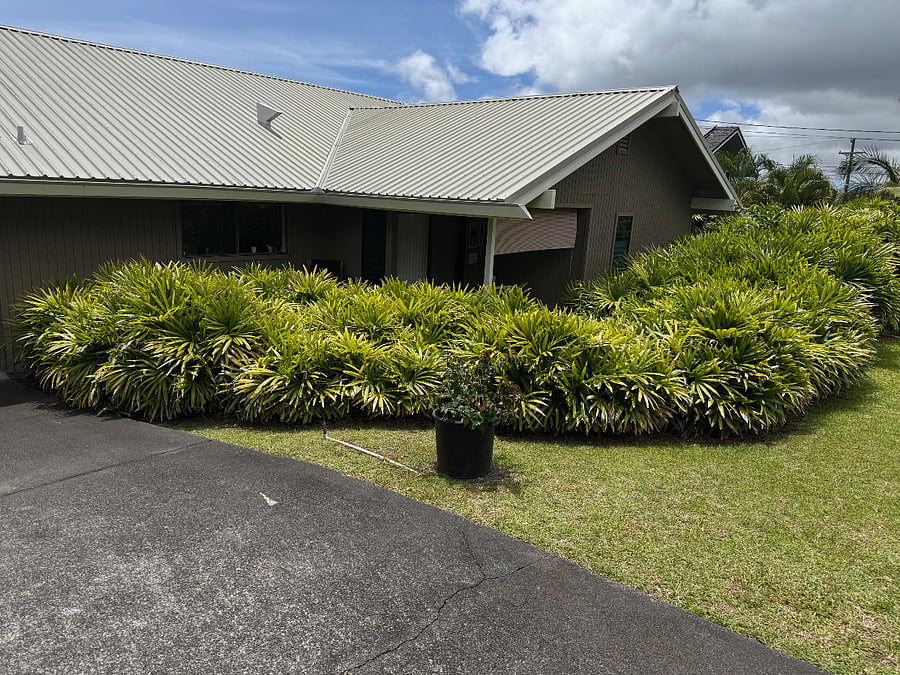 Furnished Finder property 986934_2 photo 11
