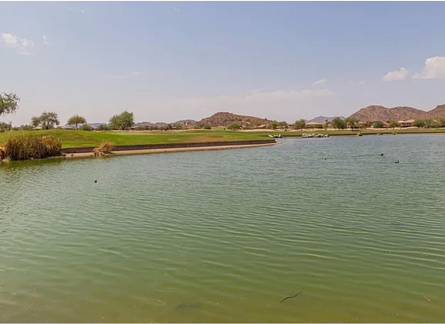 Cath and release fishing pond