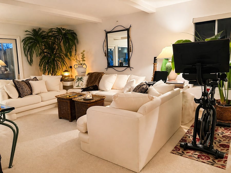 TV Room Couches