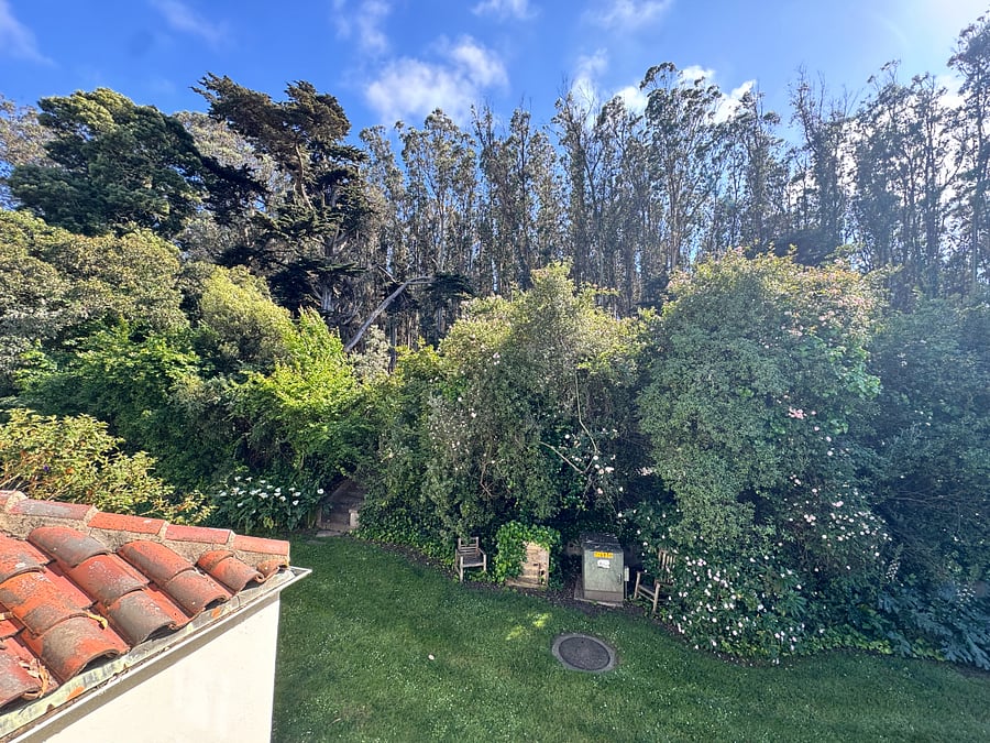 View from the bedroom window