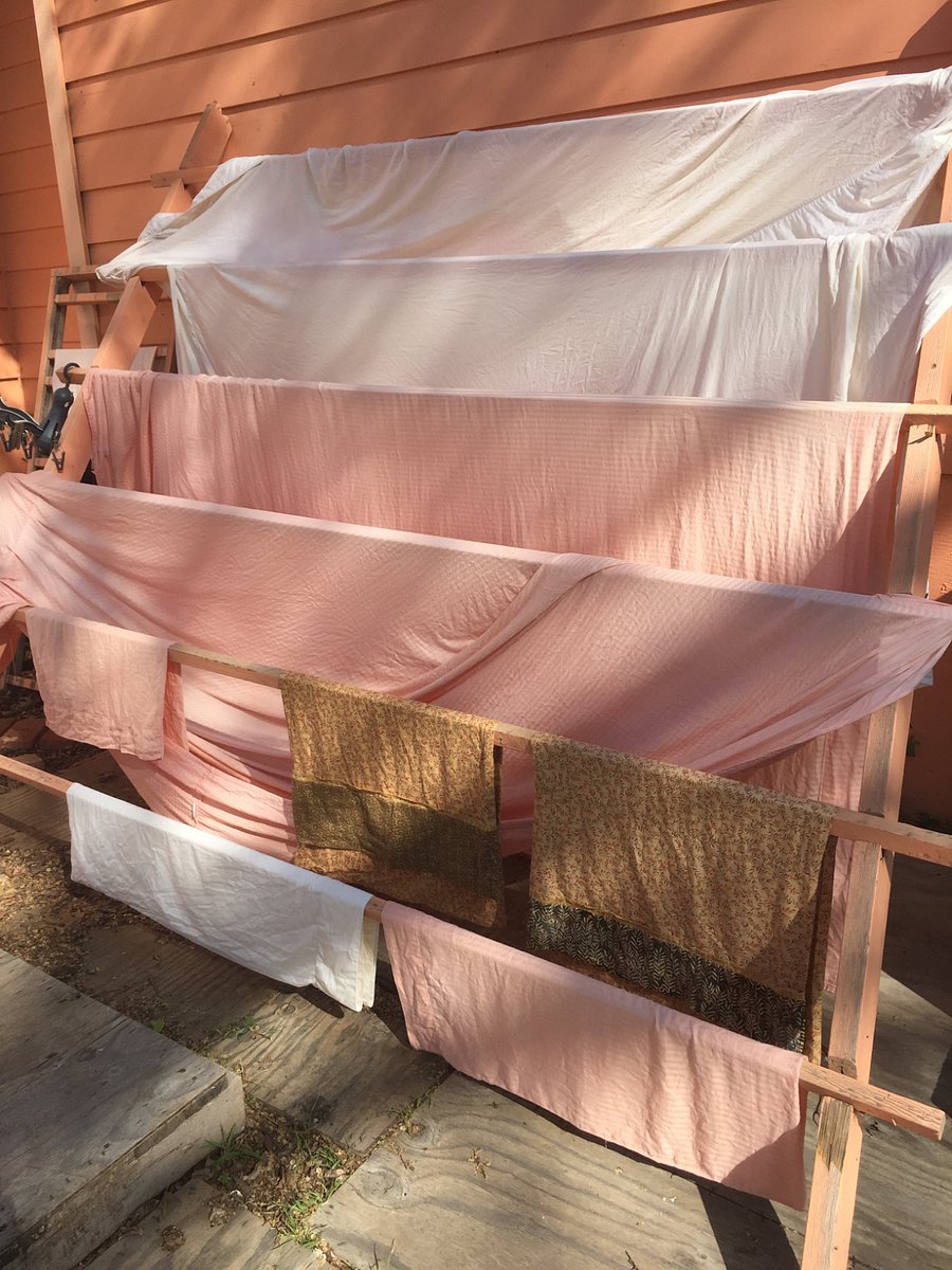 Laundry lines in the backyard.