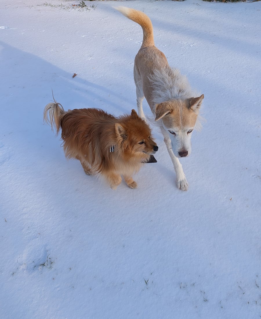We Do get a bit of snow every winter.