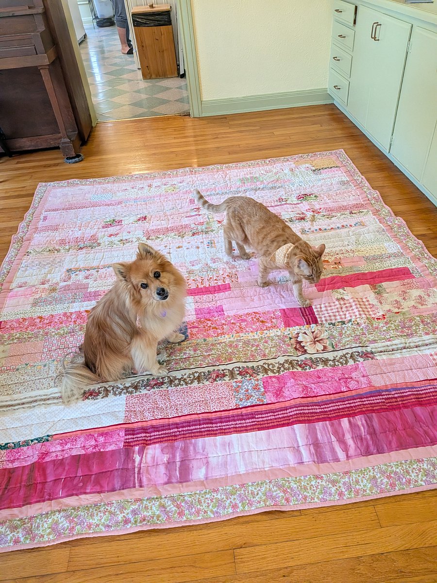 The Dining Room is big enough for me to work on a full size quilt.