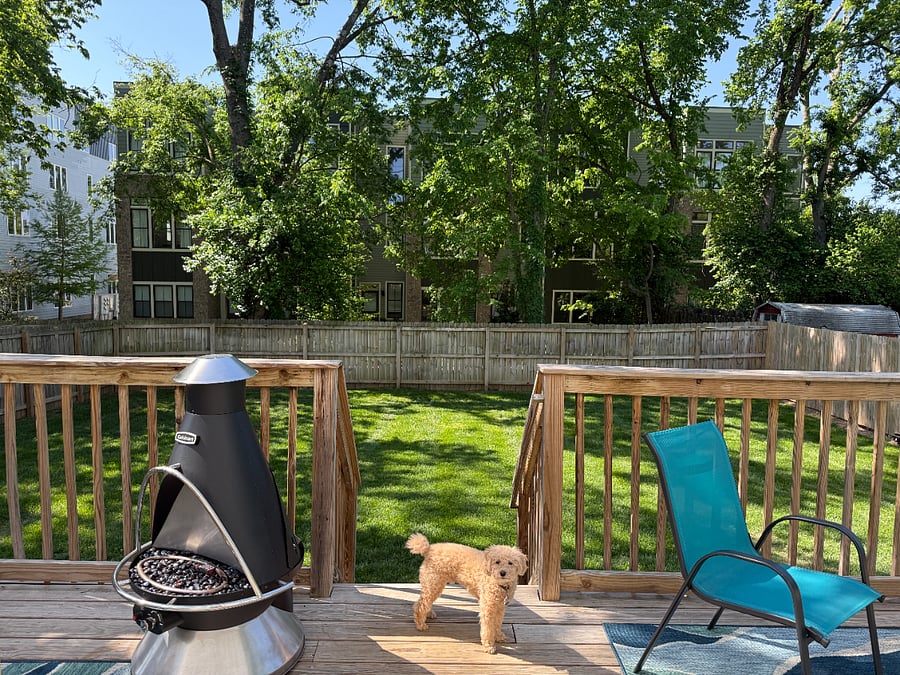 Fenced yard