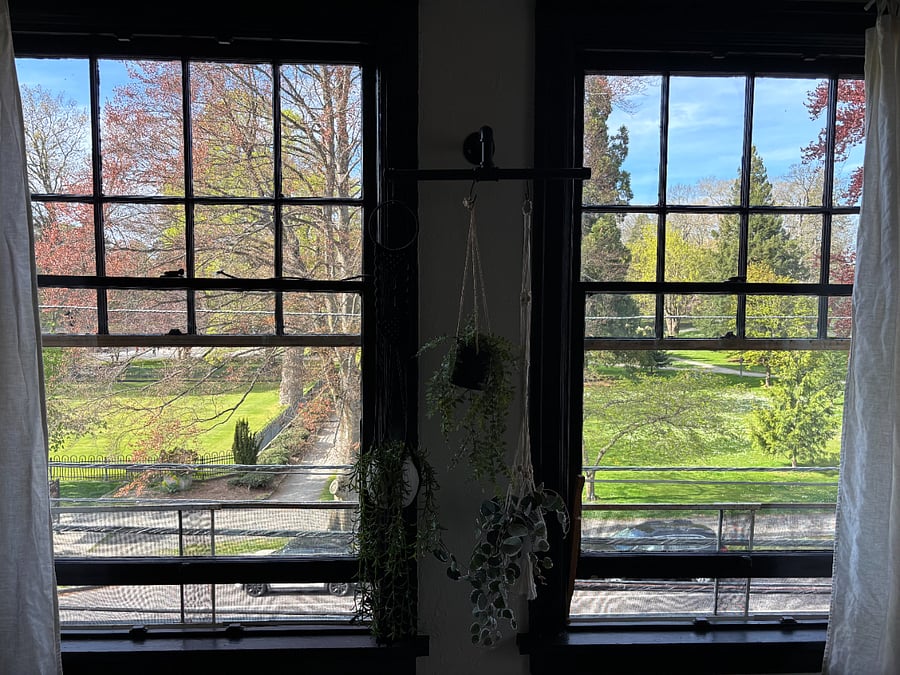 Wright Park Views from living room