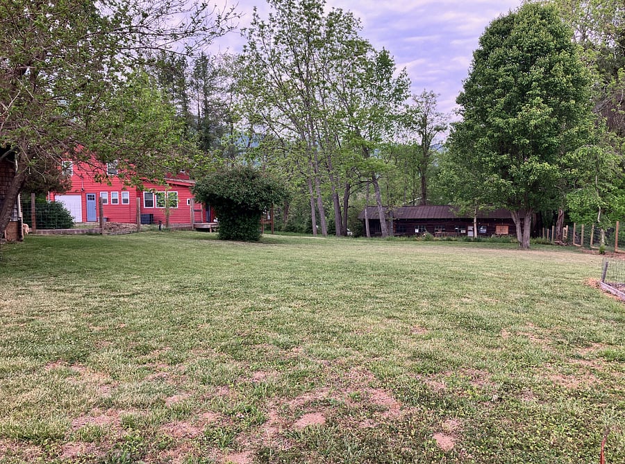 It's a large yard! We live in the red building behind the house. 