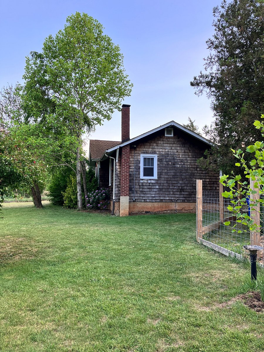 The back of the house; that's a kitchen window. In the fall and winter you'll be able to watch birds at the feeders while you're at the sink.