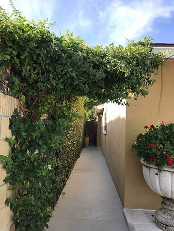 Side walkway to get to your Guest House door