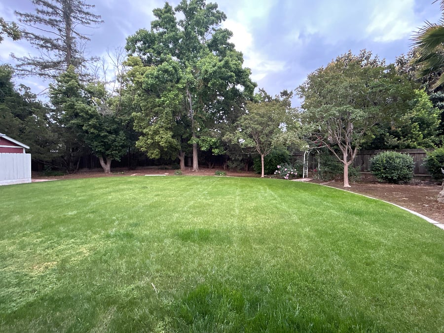 Spacious backyard