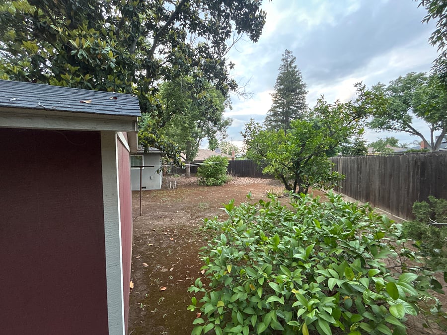 Fruit trees