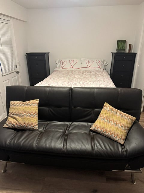 3rd bedroom _ with Queen-sized bed and 2 tall narrow chest of drawers and separate entry door with metal security screen door.  Also, a black leather futon sofa / bed facing TV stand