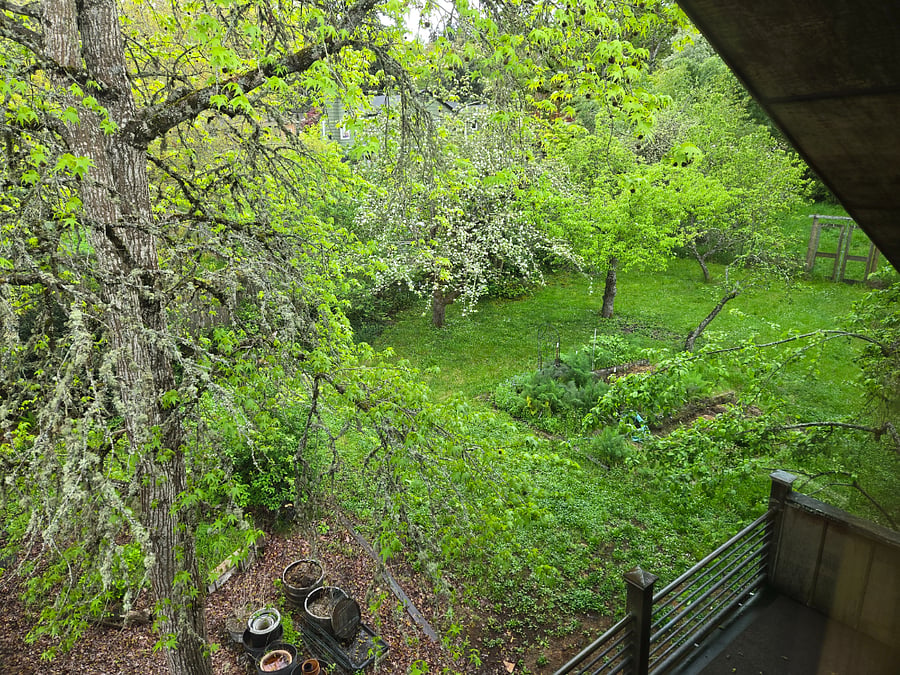 View from the balcony. Sit with your morning coffee and enjoy the peace.