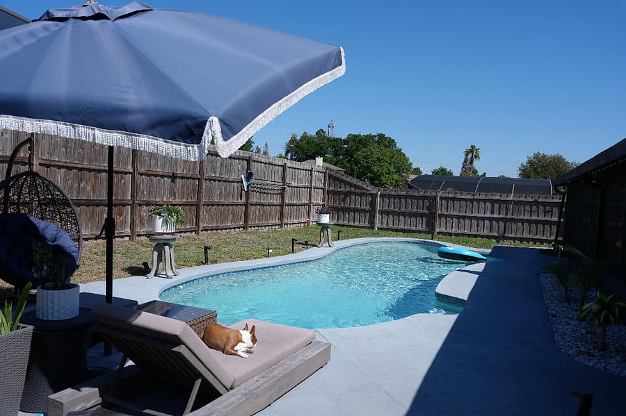 Private backyard pool with lounge seating and full privacy fence.
