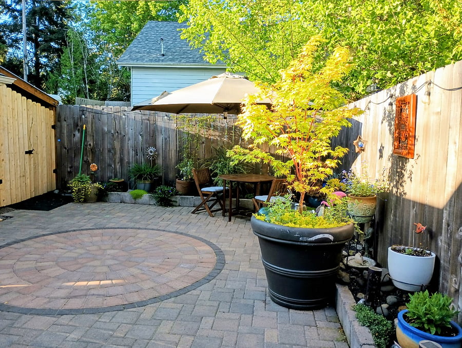 Patio/Backyard