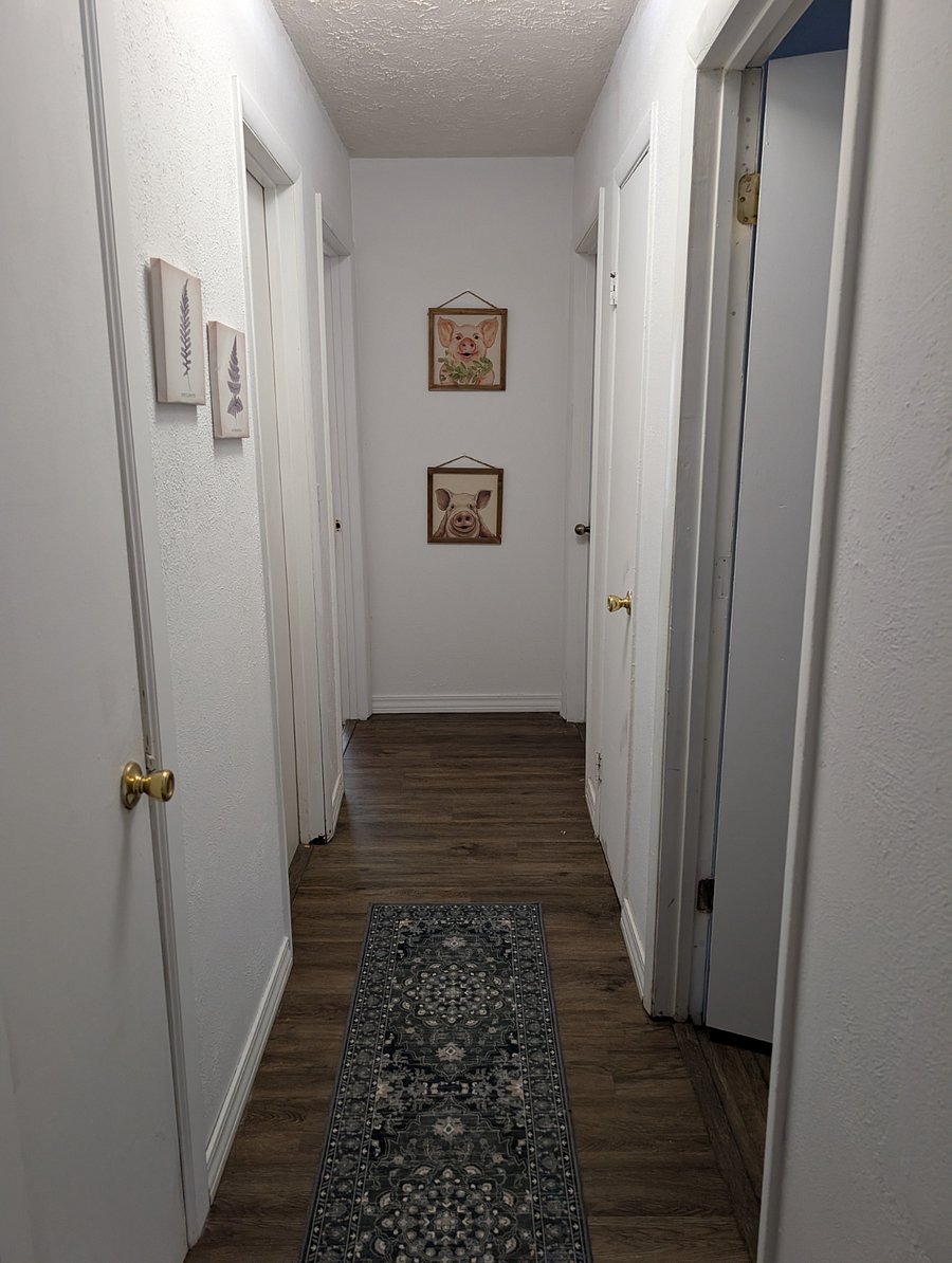 Hallway to bedrooms and master bathroom