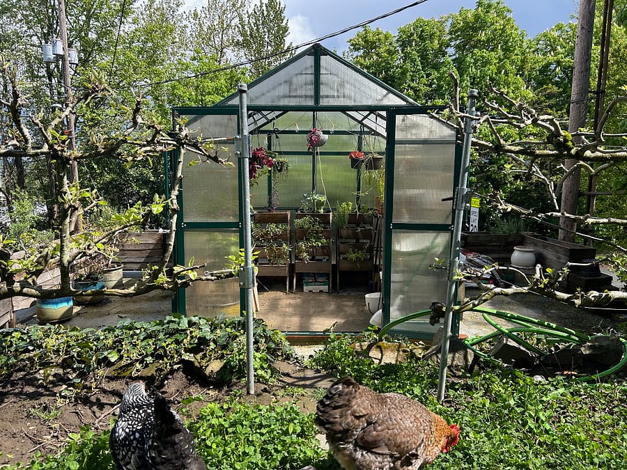 Just outside the unit's entrance is a greenhouse.