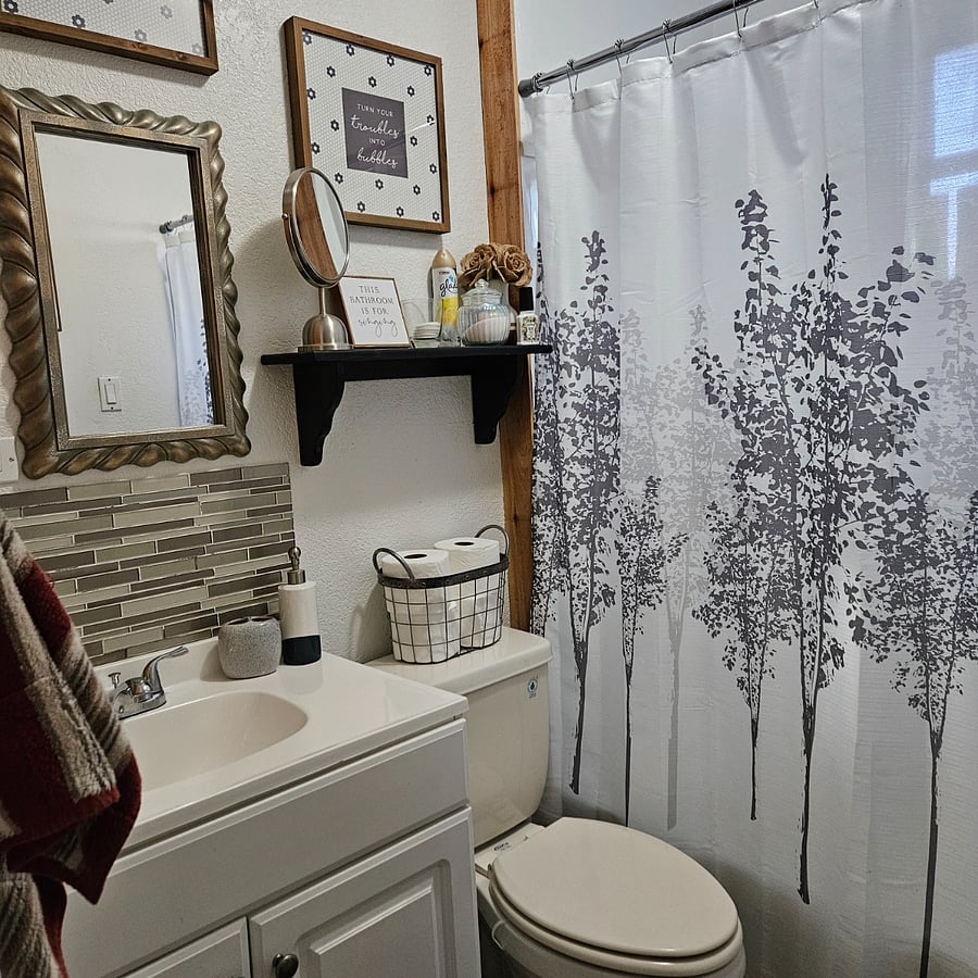 Sink and toilet