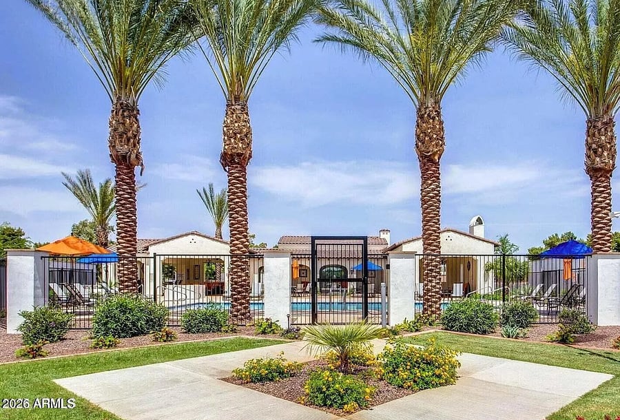 Beautiful palm-lined community entrance with desert landscaping.