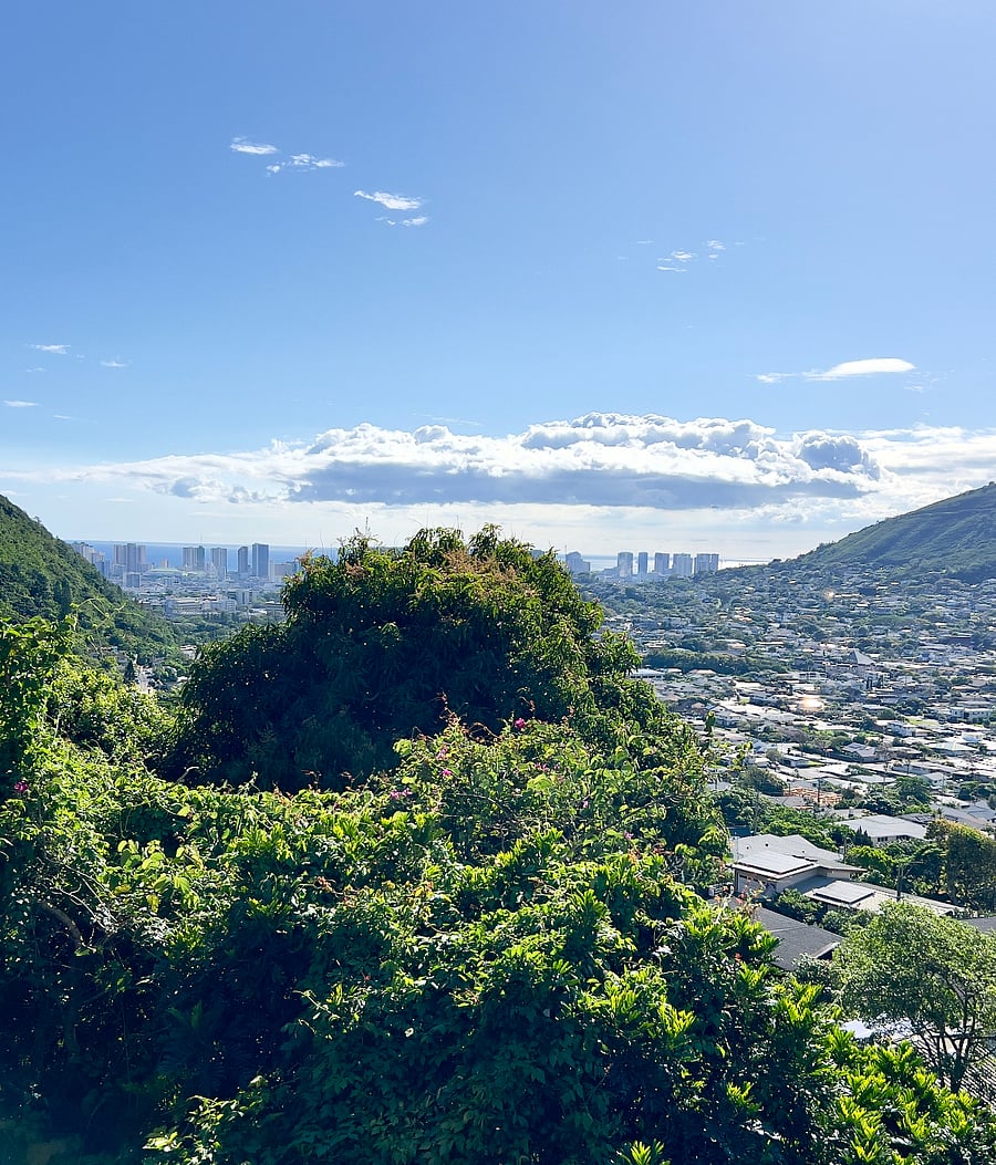 View from House