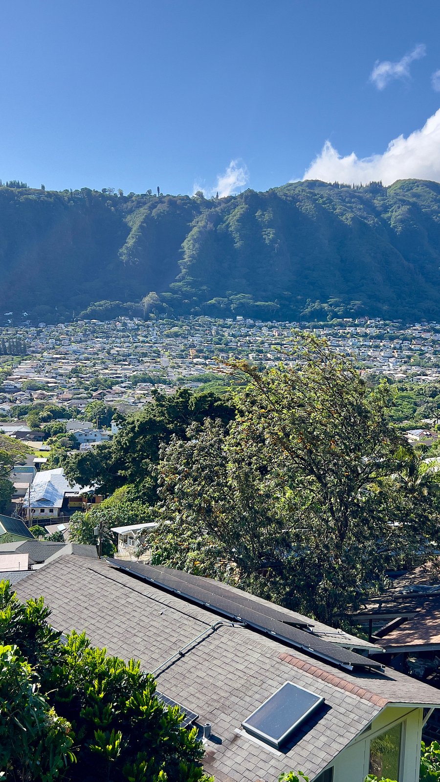 View from House