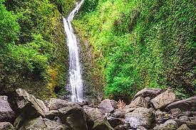 Manoa Falls