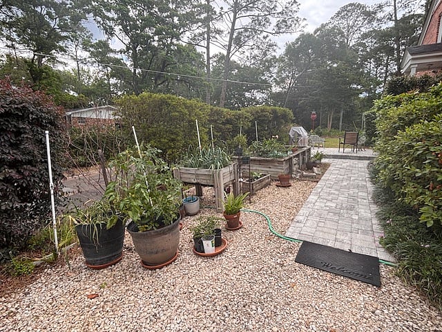 Garden area