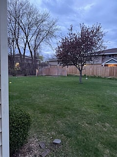 Backyard view