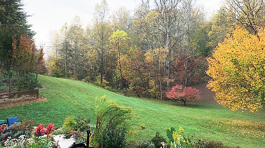 Furnished Finder property 987834_1 photo 17