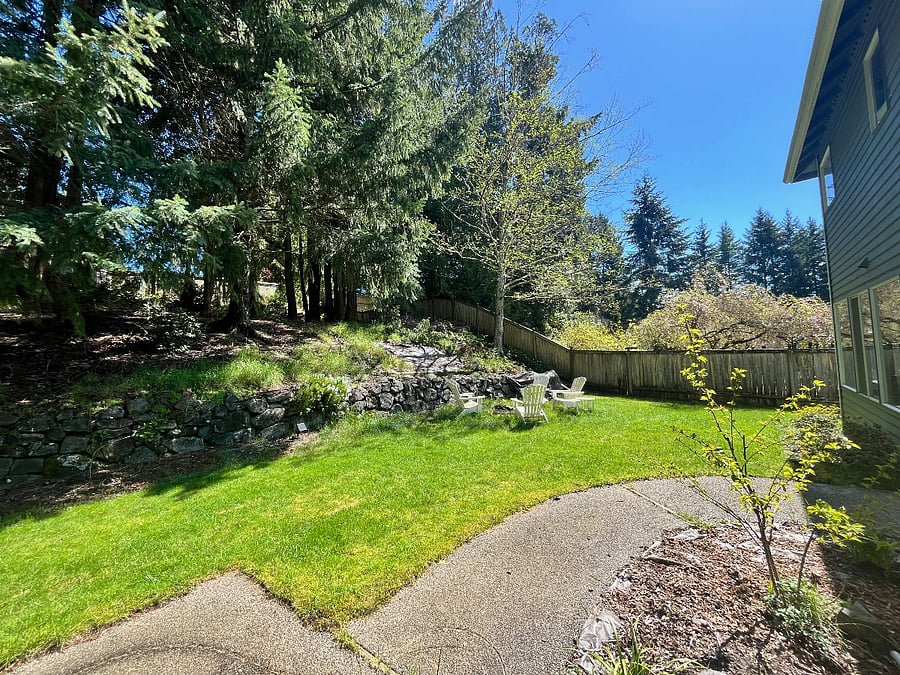 Sun-soaked backyard from just outside the breakfast nook glass doors.