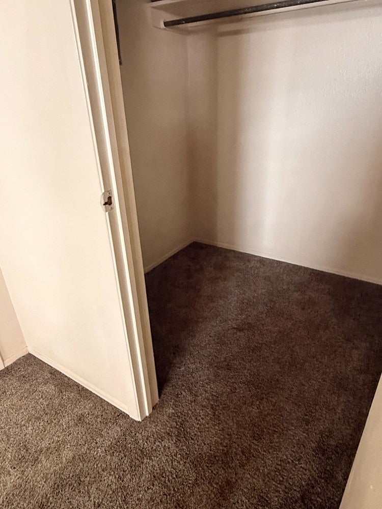 Extra Storage Closet