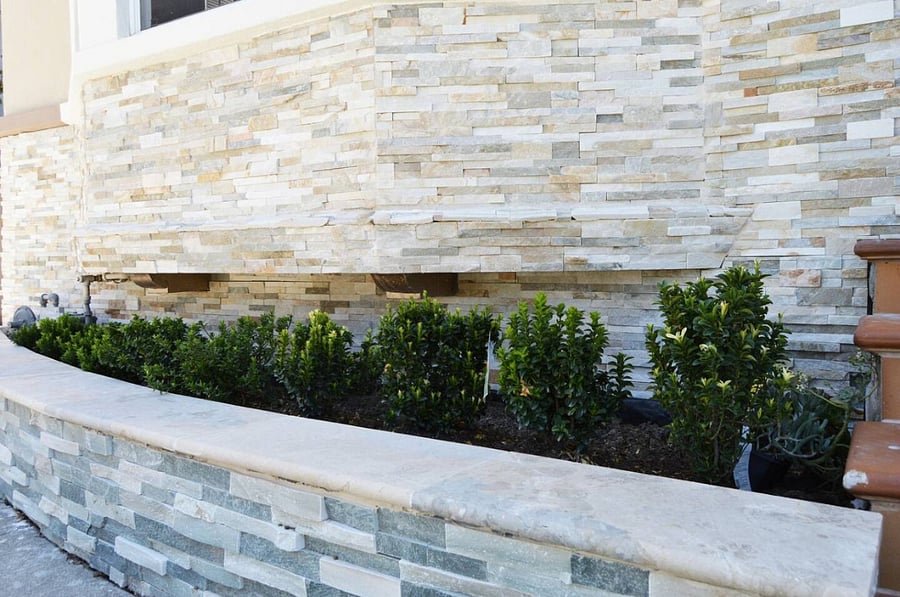 Exterior : Tidy plants