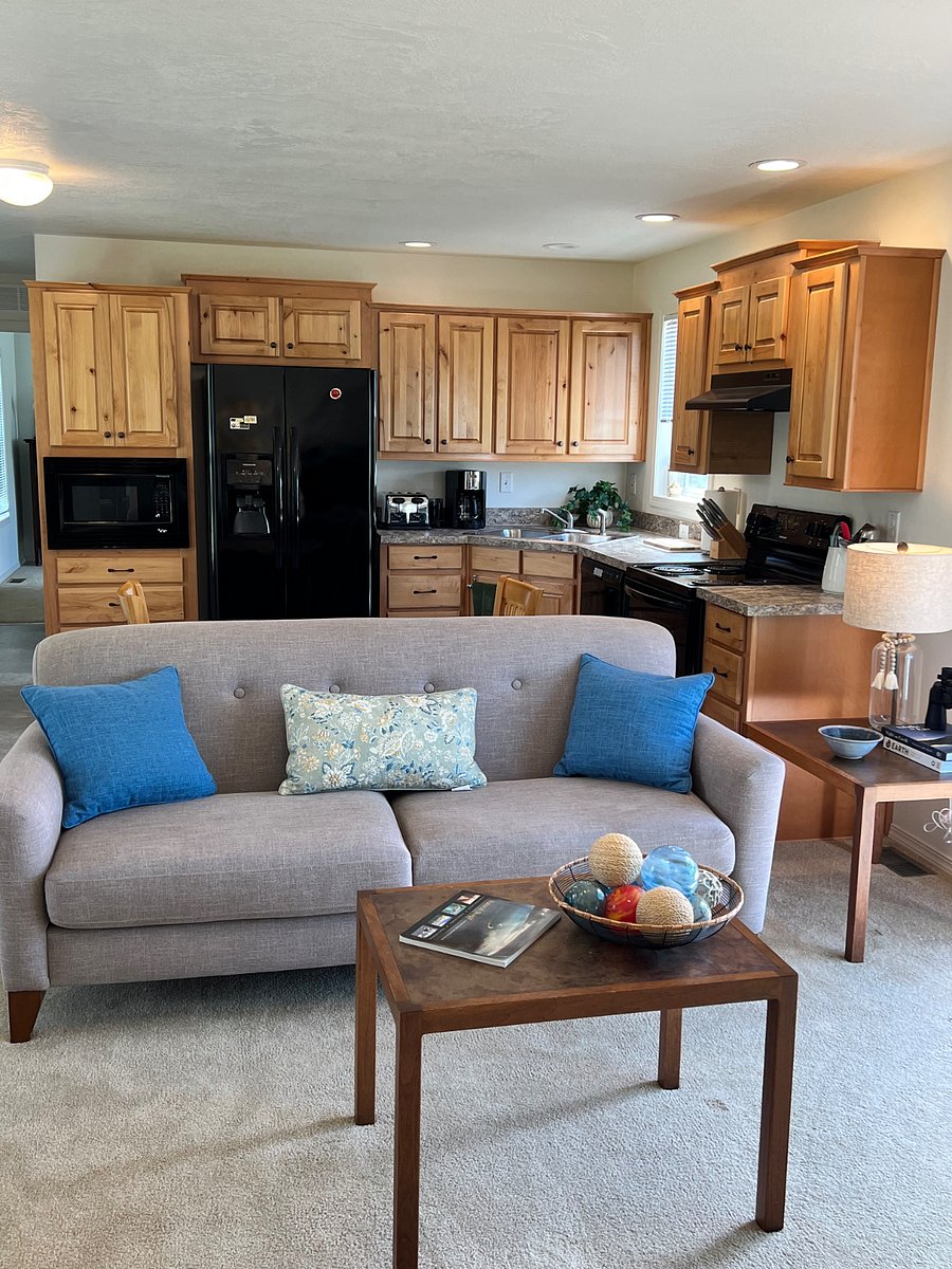 Open kitchen and living area