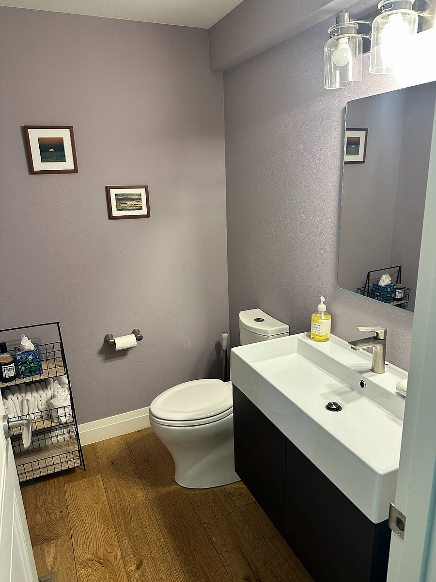 Powder room (downstairs)